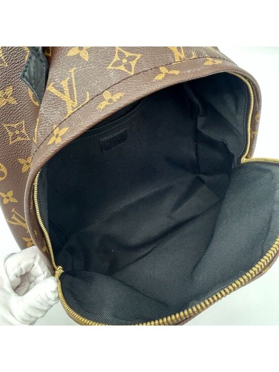 Louis Vuitton Palm Spring Backpack MM Sac main image 9